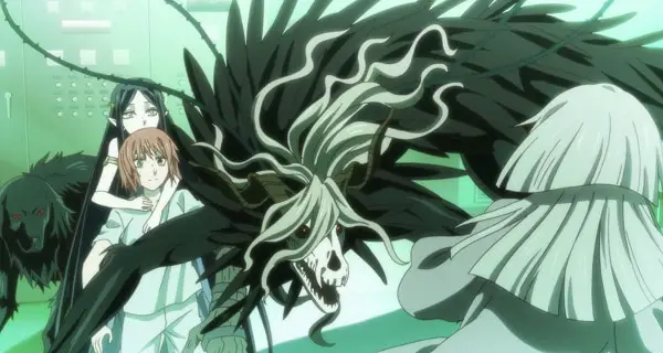 Magical Creatures of The Ancient Magus Bride