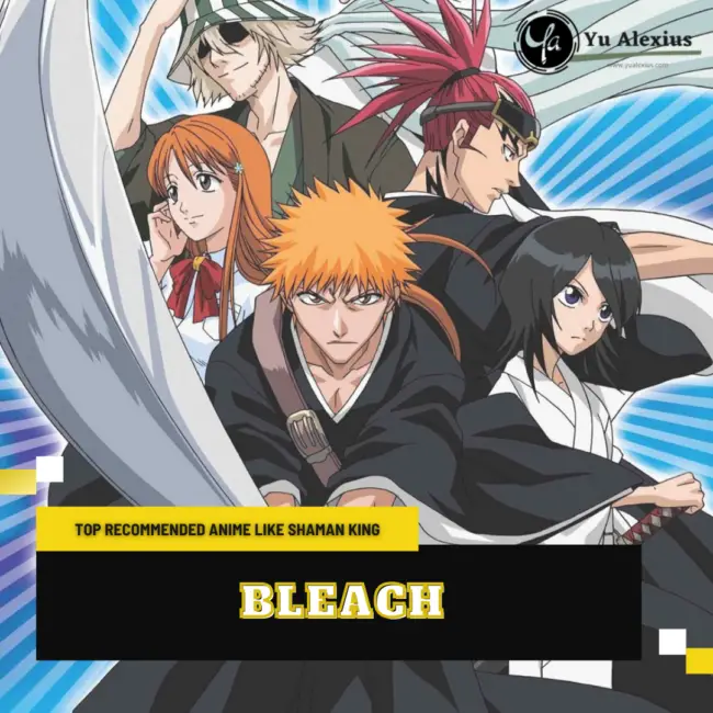 Anime Like Shaman King - Bleach