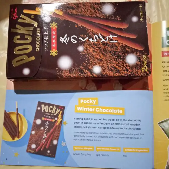 TokyoTreat December 2021 Box 11 My TokyoTreat Review: What's Inside the Box? (December 2021)