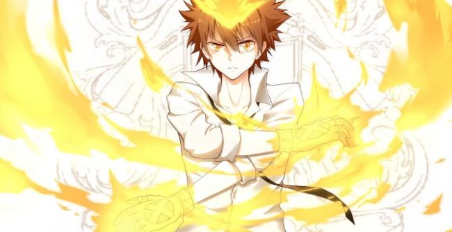 Tsunayoshi Sawada Anime Flame users Top 15+ Anime Flame Users (Characters Ranked)