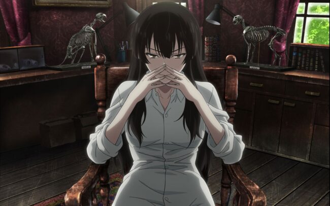 10 Donghua and Anime Like Aiyou de Mishi (XY: Aiyou's Secret Room) That Will Keep You Hooked 10 Beautiful Bones: Sakurako's Investigation